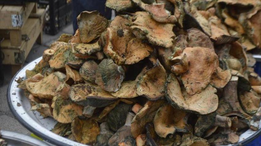 400 liradan satılıyordu! Fiyatlar düştü, tezgahlar dolup taştı: Vatandaşlar kapış kapış alıyor