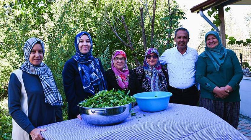 Bilecikli kadın kaynatıp içtiği nane suyundan ilham alarak girişimci oldu! İstanbul, Bursa, Eskişehir ve Sakarya'dan özel müşterileri var