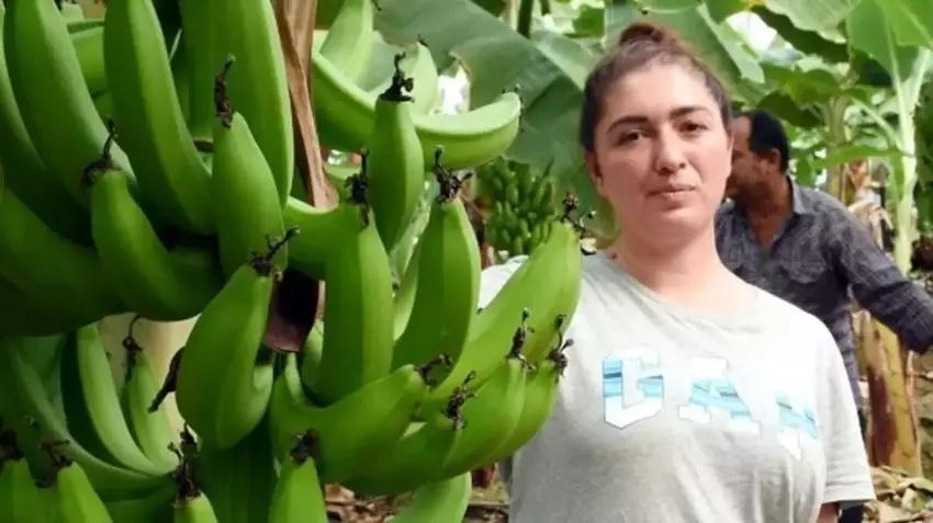 Annesinin yanına döndü, devlet 12 dönüm hibe verdi! Üretimin ilk yılında 1 milyon TL kazandı ihracata başlıyor