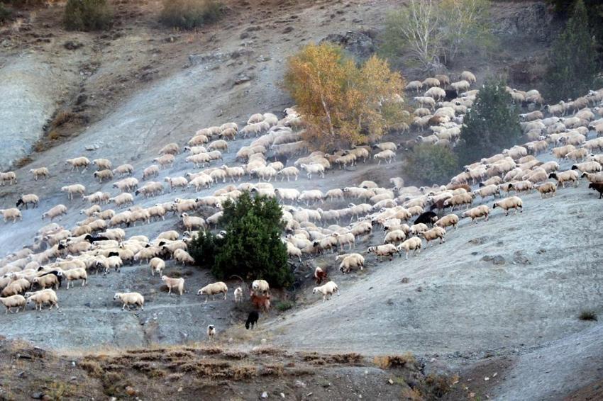 Erzincan'da yeniden başlıyor: Ekim'in son haftası yolculuk başladı