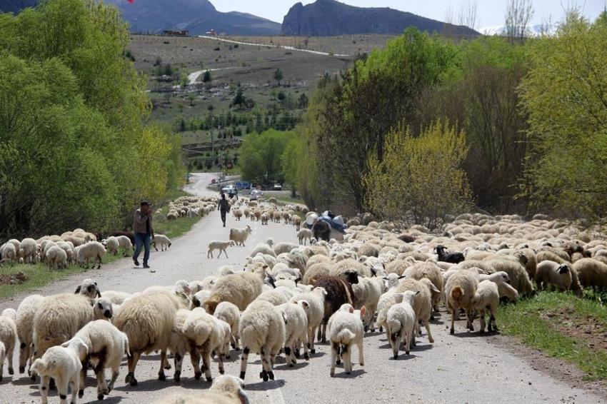 Erzincan'da yeniden başlıyor: Ekim'in son haftası yolculuk başladı