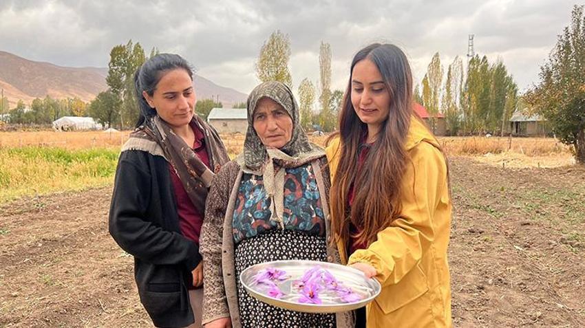 Hakkari'de ilk defa ekilen üründe hasat vakti geldi! 600 gram rekolte bekleniyor