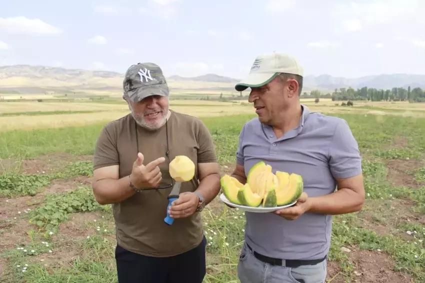 4 yıl incelendi sadece Yozgat'ta yetişiyor! Tanesi 40 lira: Kargoyla gönderilmiyor