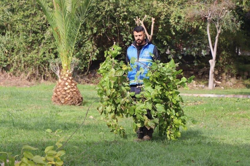 Nazilli'de 12 mahallede birden başlatıldı: Muhtarlar taleplere yetişemedi