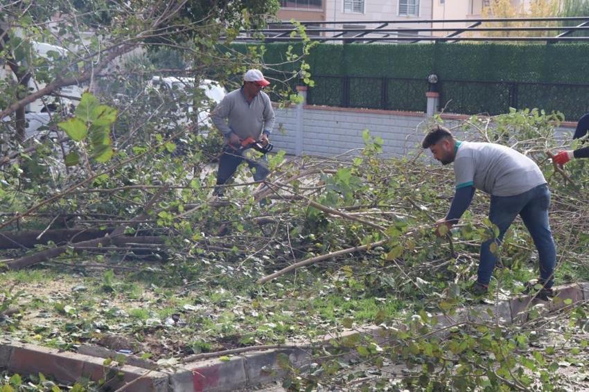 Nazilli'de 12 mahallede birden başlatıldı: Muhtarlar taleplere yetişemedi