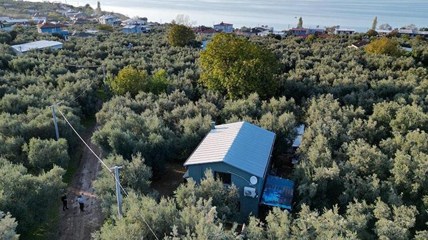 Bursa'nın en güzel manzaralı evi! Her sabah 3 bin yıllık ağaçla gözlerini açıyor