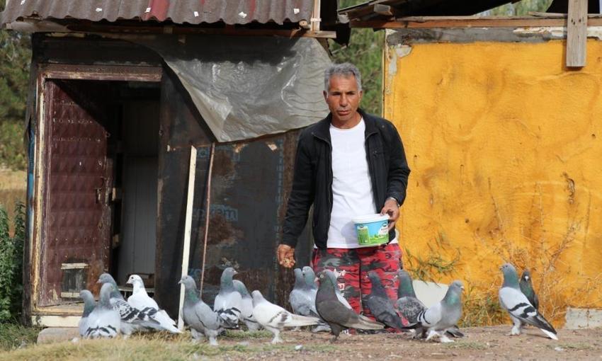 Sadece Sivas'ın dağlarında uçuyor! İki cins yetişiyor: 500 bin TL'ye alıcısı var: Nesli bozulma tehlikesi altında