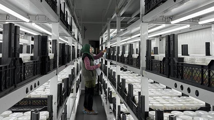 Trabzon'da 5 yıl önce kuruldu! 30 türde seri üretim yapılıyor: "Küçük bir parçayla bile binlercesine ulaşılıyor"