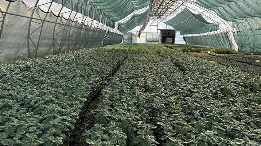 Trabzon'da 5 yıl önce kuruldu! 30 türde seri üretim yapılıyor: "Küçük bir parçayla bile binlercesine ulaşılıyor"