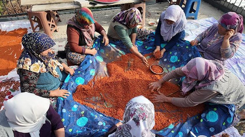İmece usulü hazırlanıyor! Yapımı 16 gün sürüyor: Birçok ilden talep var