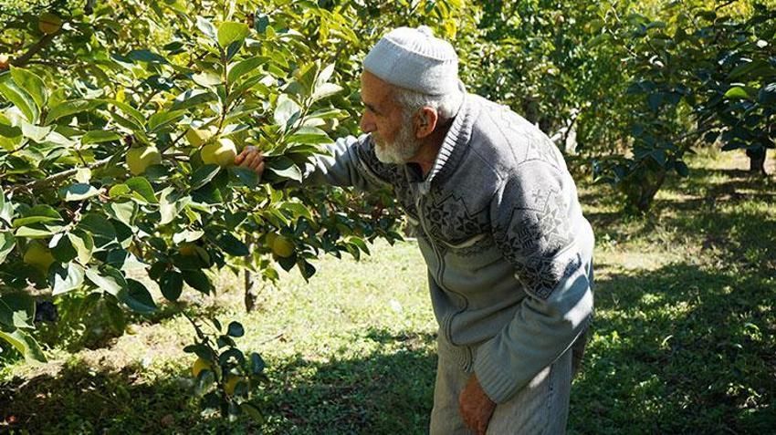 Ispartalı İbrahim dede çocukluk hayalini gerçekleştirdi! Ürünleri satmak için yetiştirmiyor