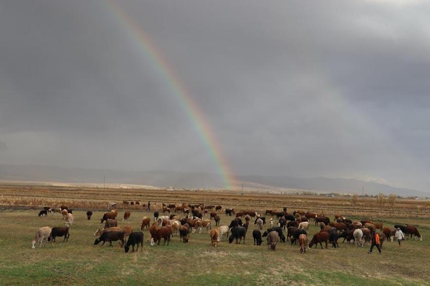 Kar yağışı Van'ı beyaza bürüdü! Yağmur ve gök gürültülü sağanak yağış kuvvetli geliyor: Meteoroloji son hava durumu raporuyla illeri tek tek uyardı