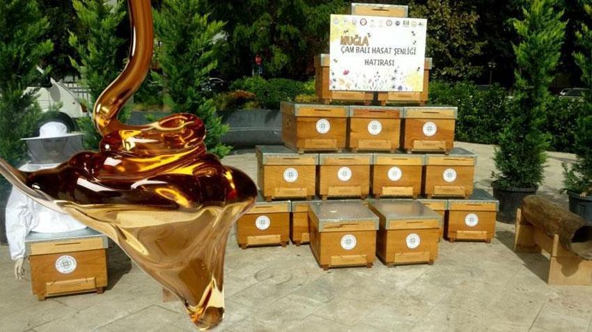 Menteşe'de 'Muğla'nın Tadı, Çam Balı' sloganıyla şenlik yapıldı