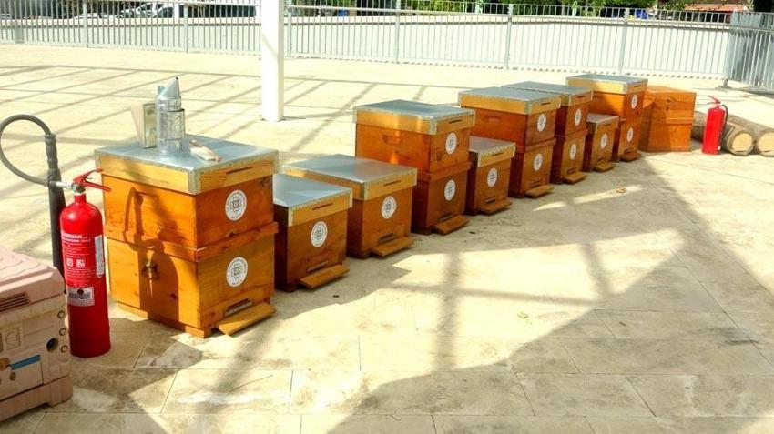 Menteşe'de 'Muğla'nın Tadı, Çam Balı' sloganıyla şenlik yapıldı