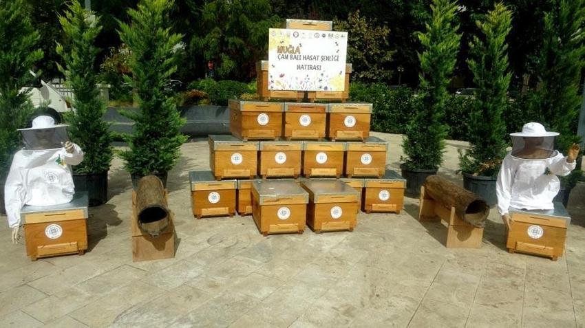 Menteşe'de 'Muğla'nın Tadı, Çam Balı' sloganıyla şenlik yapıldı