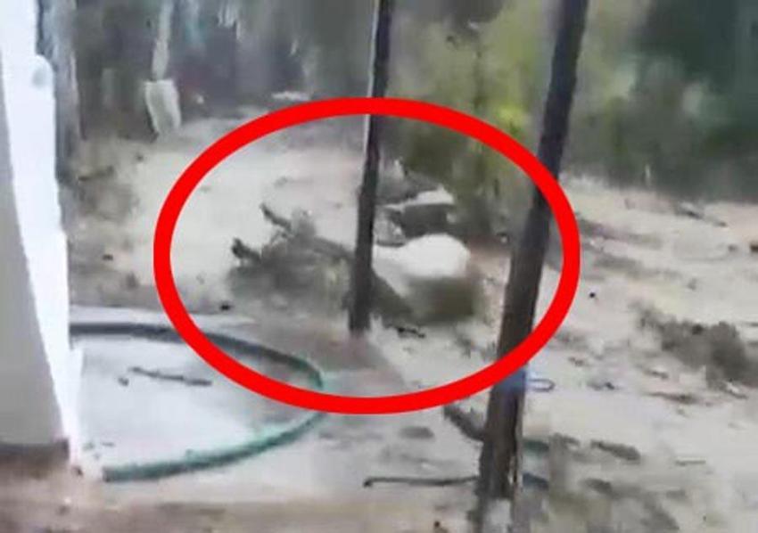 Aydın’da sağanak yağmur hayatı olumsuz etkiledi! Yollar dereye döndü vatandaşlar zor anlar yaşadı