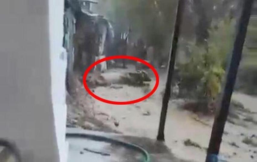 Aydın’da sağanak yağmur hayatı olumsuz etkiledi! Yollar dereye döndü vatandaşlar zor anlar yaşadı