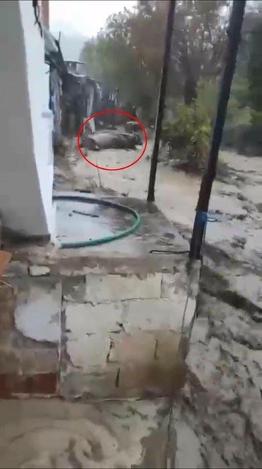 Aydın’da sağanak yağmur hayatı olumsuz etkiledi! Yollar dereye döndü vatandaşlar zor anlar yaşadı