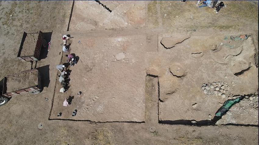 Samsun'un köyünde keşfedildi! Almanya'dan gelen profesör görünce dondu kaldı, dünyada böylesi yok