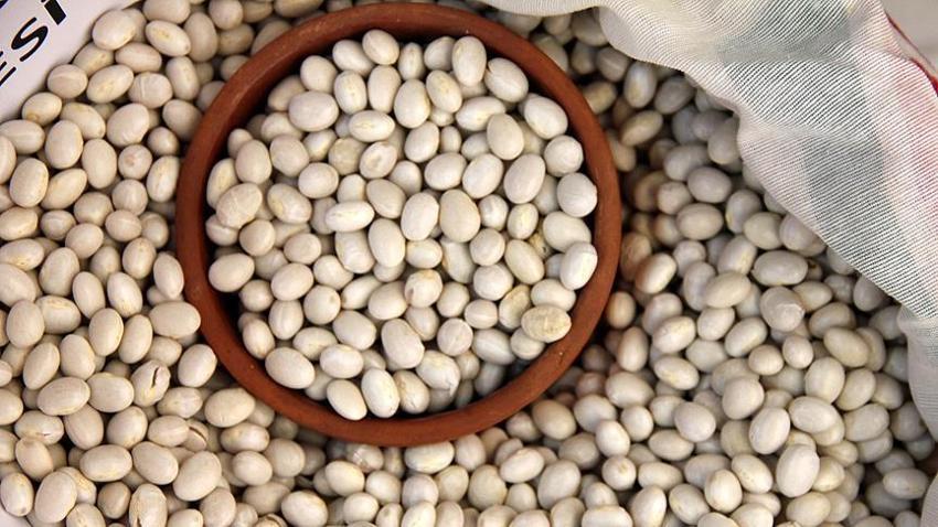 Ordu'nun dağlarında yetişiyor! Üretim bu sene patladı, kilosu 400 TL'den marketlerde satılacak