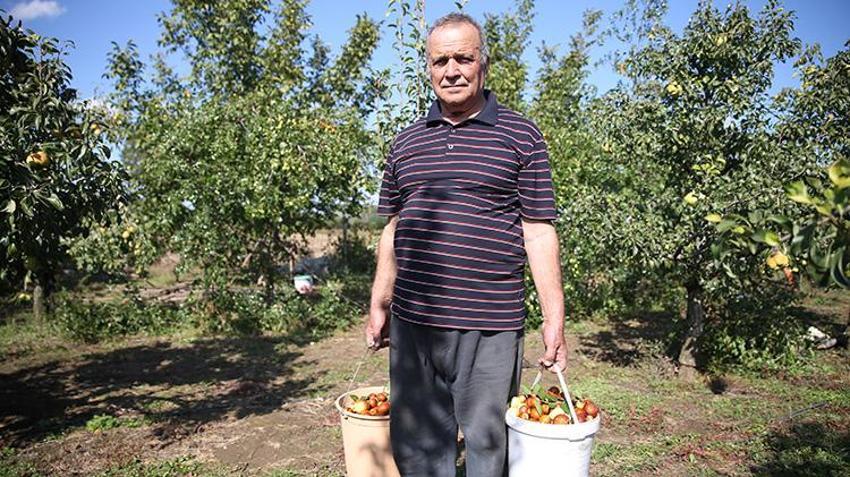 Trakya’nın yeni gözdesi: Çin'in 'ölümsüzlük meyvesi' hünnap, Edirne çiftçisine 10 katı gelir kapısı açtı!