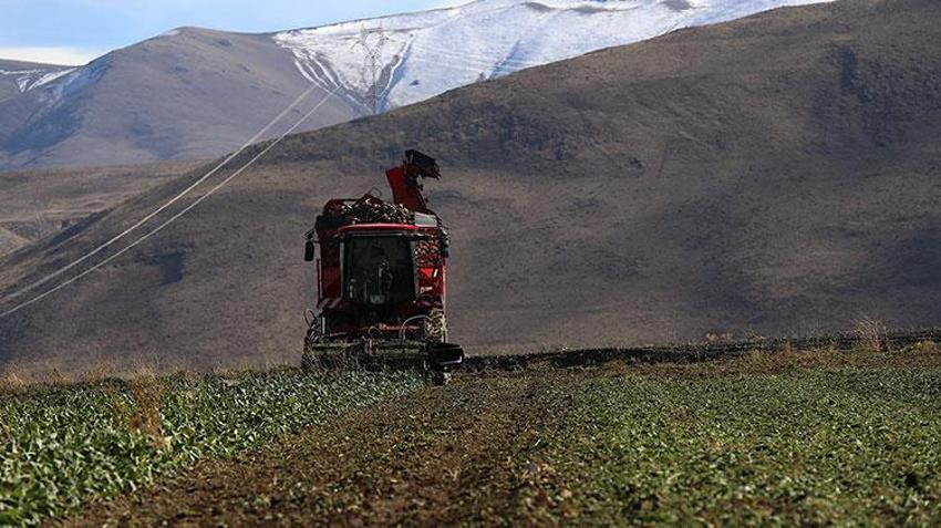 Erzurumlu çiftçi bu ürünü sevdi! Neredeyse bütün ilçelerde üretiliyor: Ekim alanı yüzde 40 arttı