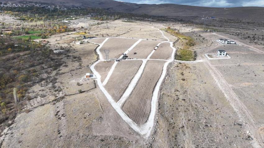 Niğde’de atıl araziye lavanta hayat verdi! Çiftçiye yeni gelir kapısı oldu, kuraklığa meydan okuyor