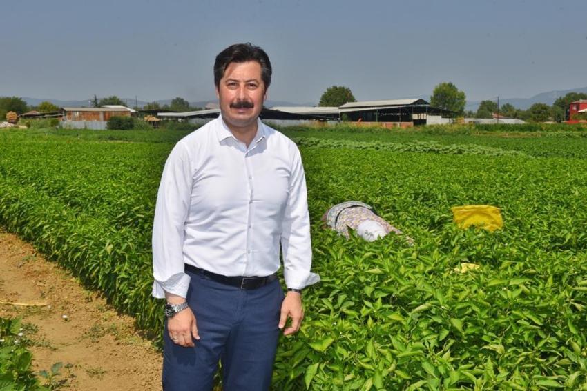 Bursa'ya dev OSB kuruluyor! 12 bin kişiye istihdam sağlayacak: 250 firma faaliyet gösterecek