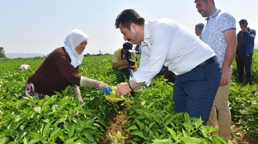 Bursa'ya dev OSB kuruluyor! 12 bin kişiye istihdam sağlayacak: 250 firma faaliyet gösterecek