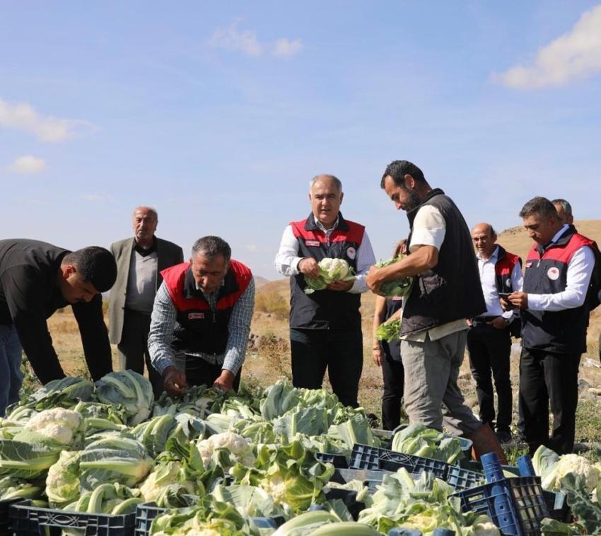 Elazığlı çiftçinin azmi bir köyün kaderini değiştirdi! Hasada başladı