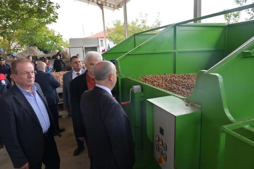 Denizli'de tüm ilçelerde hasat başladı: Her ağaç 20 kilo veriyor!