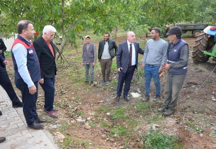 Denizli'de tüm ilçelerde hasat başladı: Her ağaç 20 kilo veriyor!