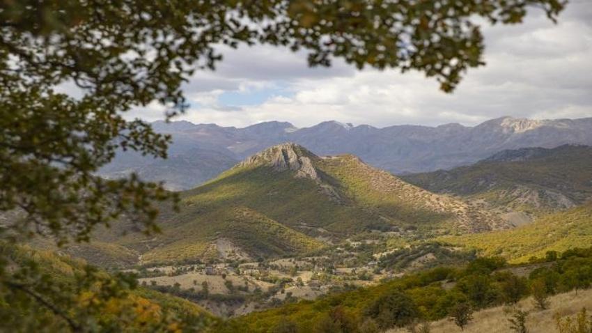 2500 metre yüksekte Tunceli'de bulundu! 3 ilçenin kesiştiği noktada yer alıyor: 3 tür yaşıyor