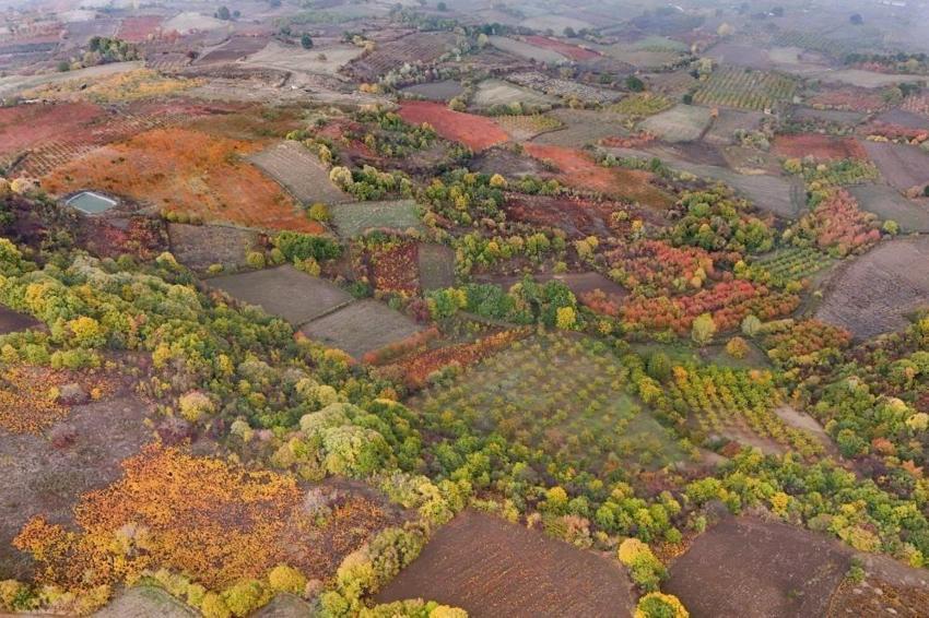 Ne İsviçre ne Alpler! Türkiye bu manzarayı konuşuyor: Bursa'da 1 mahallede yer alıyor