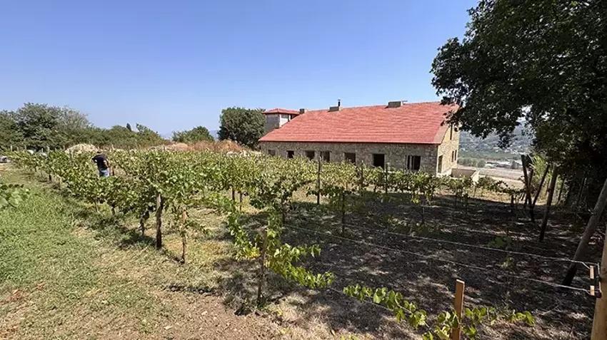 20 dönümlük çöp araziyi hazineye çevirdi! Filmde gördüğünü yaptı: Sadece 8 tanesi 6 ton veriyor