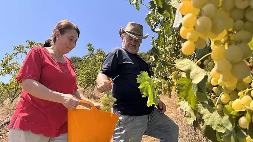 20 dönümlük çöp araziyi hazineye çevirdi! Filmde gördüğünü yaptı: Sadece 8 tanesi 6 ton veriyor