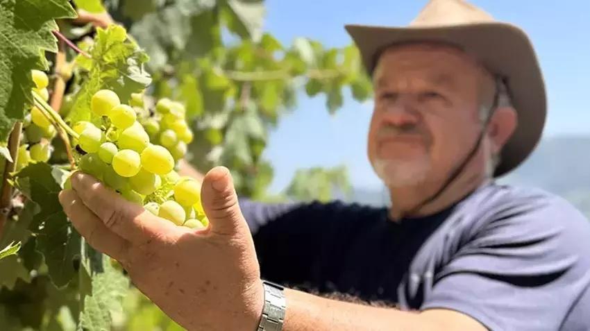 20 dönümlük çöp araziyi hazineye çevirdi! Filmde gördüğünü yaptı: Sadece 8 tanesi 6 ton veriyor