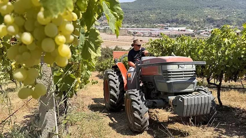 20 dönümlük çöp araziyi hazineye çevirdi! Filmde gördüğünü yaptı: Sadece 8 tanesi 6 ton veriyor