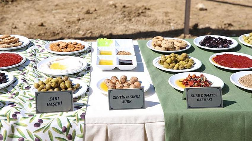 Hatay'ın Altınözü'nde zeytin bayramı başladı! Hedef yerel ürünleri dünya pazarına taşımak