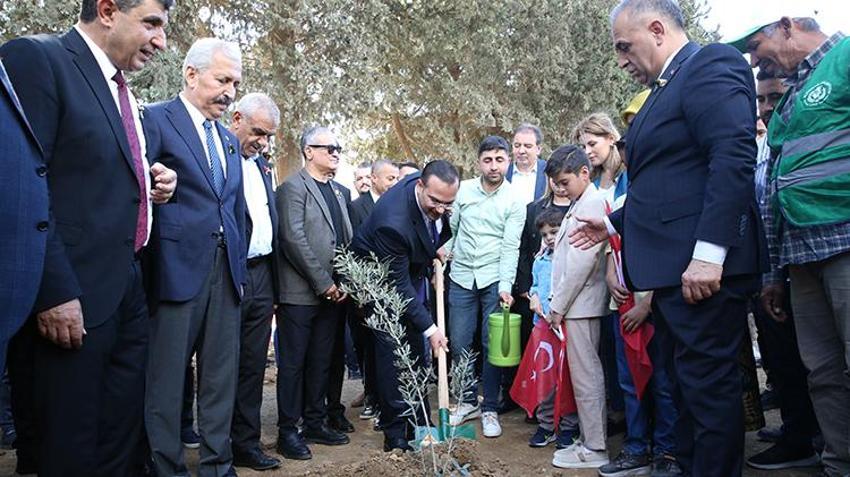 Hatay'ın Altınözü'nde zeytin bayramı başladı! Hedef yerel ürünleri dünya pazarına taşımak