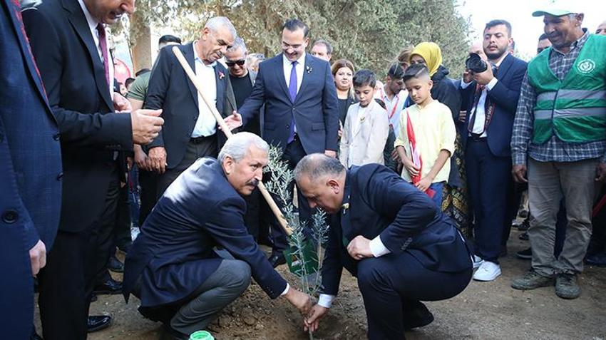 Hatay'ın Altınözü'nde zeytin bayramı başladı! Hedef yerel ürünleri dünya pazarına taşımak