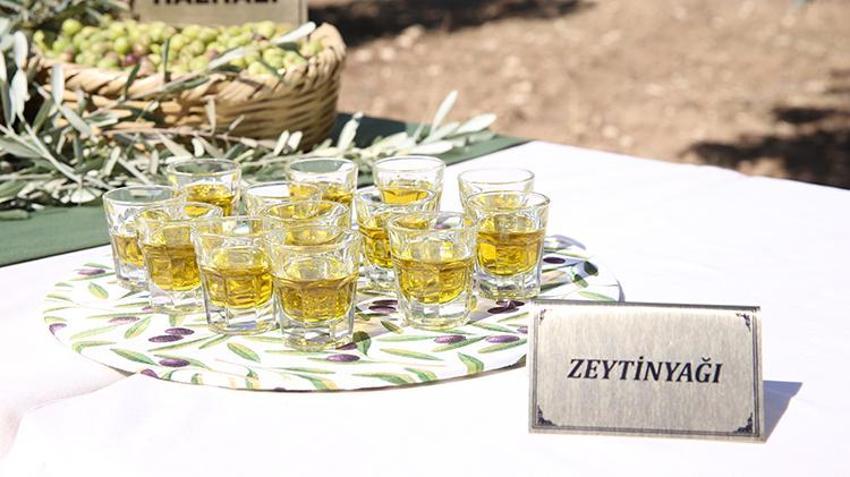 Hatay'ın Altınözü'nde zeytin bayramı başladı! Hedef yerel ürünleri dünya pazarına taşımak