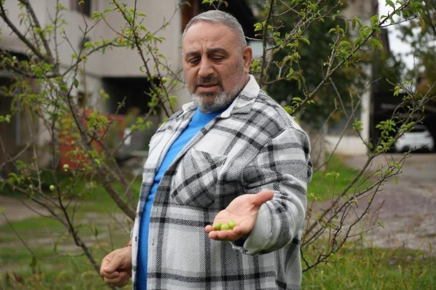 Kocaeli'de doğaya aykırı görüntü! Ekim ayında böylesi görülmedi