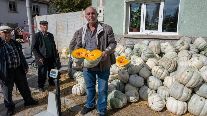 Eskişehir'de ata tohumuyla yetiştiriyorlar! Tüm Türkiye'ye gönderiyorlar: Coğrafi işaretli ürün kapış kapış satıldı