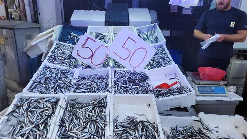 Tezgahta şenlik var! Kilosu 50 TL'ye kadar düştü, kapış kapış gitti