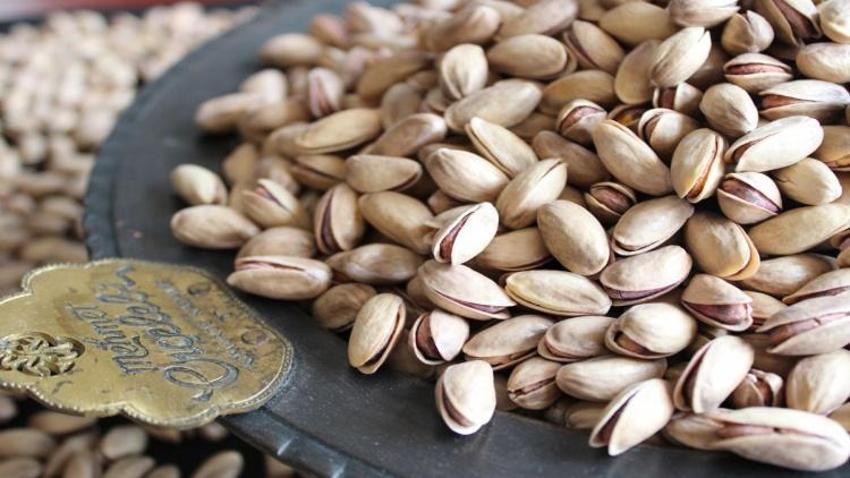 Gaziantep'te fıstık altınla yarışıyor! Kilo fiyatı yükseliyor