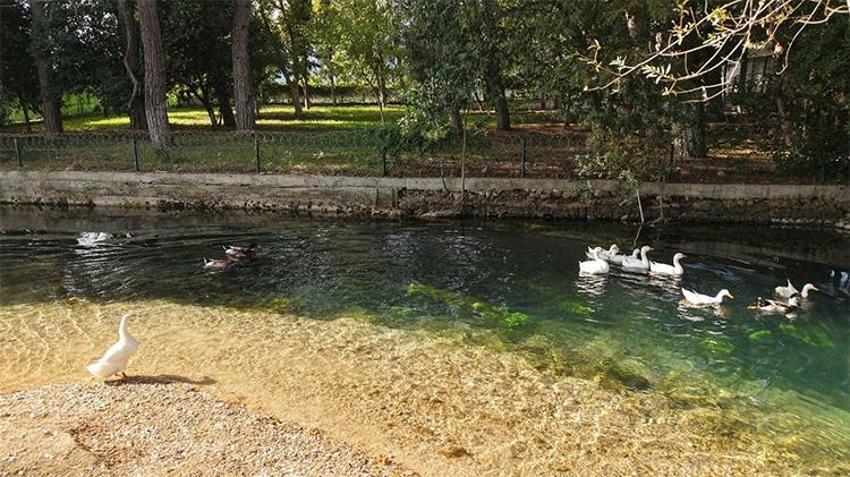 Tarih kurudu! Çukurova'nın üçüncüsüydü, Roma Köprüsü suya hasret kaldı