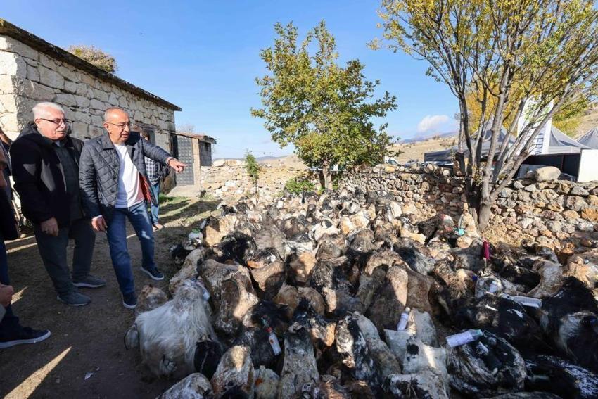 Yüzlerce kilosunu mağaradan çıkardılar! Konya'da üretim rekor kırdı