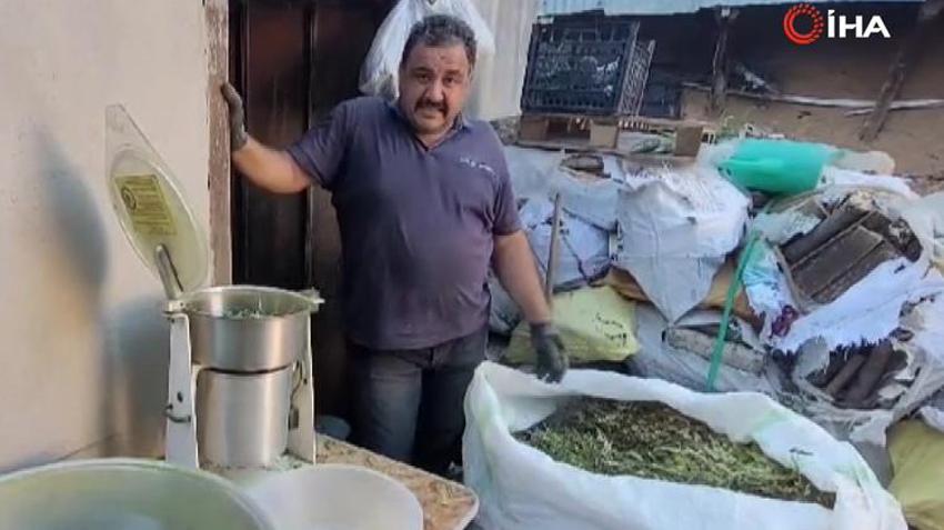 Dağlardan toplanan 120 çeşit bitkiden yapılıyor! Sırrını çok az kişi biliyor: 50 yıldır aynı yöntemle hazırlanıyor