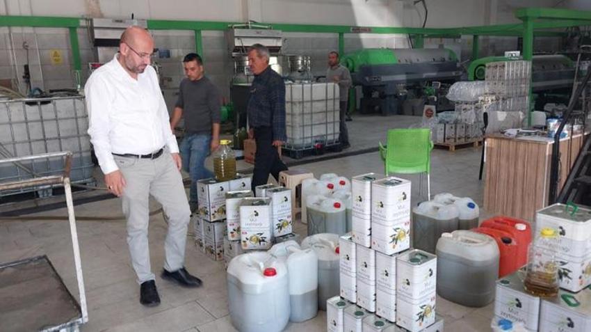 Bahçelerde hasat başladı! Rekolte düşük ama üreticinin kasası doluyor!